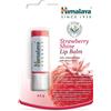 Himalaya Balsamo per labbra Strawberry Shine - 4.5g