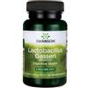 Swanson Lactobacillus Gasseri - 60 vcaps