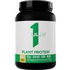 Rule One - Proteina Vegetale, Banana Congelata - 620g