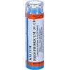 HERING Kalium Phosphoricum 80 Granuli 30 Ch Contenitore Multidose