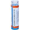 HERING Staphysagria 80 Granuli 30 Ch Contenitore Multidose