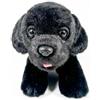 DQB DeQUBE Fondazione BOCALAN - Peluche Labrador nero 21 cm con gilet - + 0 mesi (DeQube 939D00249)