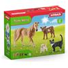 schleich FARM WORLD | Starter Set per la raccolta di FARM WORLD per HSD 72161