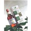 SANGALLI AGNOCASTO FRUTTI 100ML TM