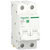 Schneider Electric RESI9 1P+N 10A C 230V 6000A marca