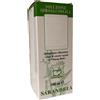 Sarandrea Marco TORMENTILLA 100ML TINTURA MADRE