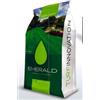 Emerald SHADOW sacco 15 kg - 75% Festuca arundinacea, 25% festuca rubra