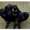 MCFARLANE MARVEL PVC STATUE - SPIDER MAN ISSUE 1 - 1:6 SCALE PLATINUM FIGURE NEW