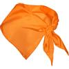 Abbigliamento personalizzate. Bandana poliestere triangolare personalizzabile 100x50 cm Cheri - personalizzate o neutre
