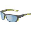 BOLLE' Occhiali AIRFIN Grey Matte Acid - Sky Blue Polarized