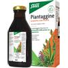 SALUS HAUS Gmbh & Co KG SALUS PIANTAG/SALVIA/FINOCC250