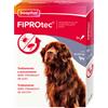 Beaphar Fiprotec Spot On per cani 3 pipette da 402 mg per taglia molitri o grande (40-60 kg) - Antiparassitario per cani - 1° ORDINE? fino al 20% di sconto
