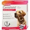 Beaphar Canishield Collare Antiparassitario 2 collari da 65 cm peso superiore a 20 kg - Antiparassitario per cani - 1° ORDINE? fino al 20% di sconto