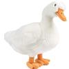 Does not apply , Peluche Farm Uccelli, Polli E Anatre, Colore Unknown, AN381