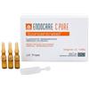 DIFA COOPER S.P.A. Endocare c ampolle pure radiance concentrato 14 ampolle 1 ml
