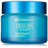 DIFA COOPER S.P.A. Endocare Age Barrier Hyaluboost Gel Cream 50 Ml