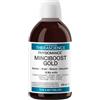 Physiomance Minciboost Gold 500 Ml Depurativi E Disintossicanti