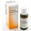 Heel Aesculus Compositum Gocce 30 Ml