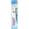 Boiron Sanguinaria Canadensis 9 Ch 80 Granuli 9 Ch Contenitore Multidose 4g