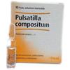 Heel Pulsatilla Compositum 10 Fiale 2,2 Ml