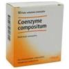 Heel Coenzyme Compositum 10 Fiale 2,2 Ml