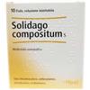 Heel Solidago Compositum 10 Fiale 2,2 Ml