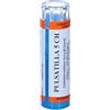 Hering Pulsatilla*80 Granuli 5 Ch Contenitore Multidose 80