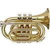Stagg WS-TR245S - Tromba tascabile