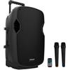 Audibax DENVER Cassa Combo PORT12 VHF. Cassa Bluetooth con USB/SD - Schermo LCD - Trolley System, Batteria + Cavo CA 12 V. 2x Microfoni Wireless