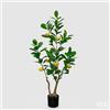 EDG Enzo De Gasperi Limone Vogue x6 con Vaso Pianta Artificiale H 126 Cm Verde Giallo