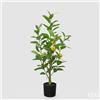 EDG Enzo De Gasperi limone Vogue x4 con Vaso Pianta Artificiale H 97 Cm Verde Giallo