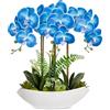 Oairse Pianta artificiale, orchidee, decorazione artificiale, fiori artificiali, come veri, con fiori real-touch, in vaso di ceramica, decorazione per davanzale, altezza 41 cm