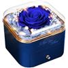 GOICC Rosa Eterna Stabilizzata Idee Regalo Donna, Mamma, Moglie, Rosa Eterna con Collana Regali per Lei - Rose Stabilizzate Valentino Regalo, Festa della Mamma, Natale, Anniversario (Blu)