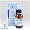 SARANDREA MARCO &C. Srl Sarandrea Ginko Bilboa 60 ml