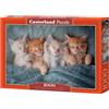 Castorland Puzzle 1000 pezzi: i gattini più morbidi