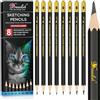 Drawlish Set di 8 matite da disegno 12B 10B 5B 3B 2B HB H 6H matite da schizzo per artisti principianti, bambini e adulti, set di matite artistiche in legno di alta qualità per ombreggiare, scarabocchiare e