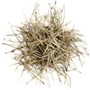 Valley of Tea Aghi di Pino Tisana Sfusa - Interi Essiccati Alpini per Infuso profumo intenso di resina e bosco in ogni tazza - da gustare caldo al mattino o nel pomeriggio