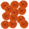 PATIKIL 20cm Pompon Carta Velina, 12Pz Fiori di Carta Pom Poms Decorativi Colorati per Matrimoni Addio Nubilato Compleanno Decorazioni Sfondo, Rosso Arancio