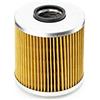 SAFETY GUARD, THE PRODUCTS OF GHONIA GRO UFI Filters 25.541.00 Filtro Olio Motore per Auto