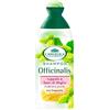 L ANGELICA SH USO FREQUENTE 250 ML