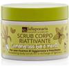 LASAPONARIA La Saponaria | Scrub Corpo Naturale al Lemongrass e Menta, trattamento stimolante e riattivante che dona freschezza immediata e pelle levigata, Formato da 250 g.