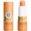 ROGER&GALLET (LAB. NATIVE IT.) ROGER&GALLET NEROLI BALSAMO LABBRA 3,5 G