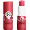 ROGER&GALLET (LAB. NATIVE IT.) ROGER&GALLET GING RGE BALSAMO LABBRA 3,5 G