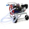 AgriEuro TOP-LINE Kit motopompa irrorazione con carrello - Pompa Comet APS41 motore Honda GX160