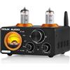 Douk Audio ST-01 PRO, amplificatore HiFi, 200W mini amplificatore a valvole con