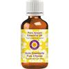 Deve Herbes Pure Ajwain Olio essenziale (Trachyspermum ammi) Distillato a vapore 30ml