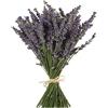 TooGet Fasci di Lavanda Naturali, Appena Raccolte 400 Steli Essiccati di Lavanda Mazzetto 40 - 45cm Lunghi, Fiori Decorativi Bouquet Per La Decorazione Domestica