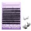 WENDY LASHES Ciglia Finte C9 con Ciglia Inferiori - Ciuffetti 10-16mm Curl 3D, Kit Extension Ciglia Naturale per Principianti, Effetto Wispy Morbido per Tutte le Occasioni(C9-3D)