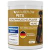 Natureflow Vincitore del test per cani, 250 g, polvere naturale di conchiglia verde per cani, supporto della funzione articolare, conchiglia verde per cani con elevata accettazione, polvere di conchiglia verde