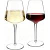 CIYIN Calici Plastica Rigida Lavabili, 2 Pezzi Calici Vino Plastica 445ml, Bicchieri Plastica Rigida Lavabili, in Tritan, BPA-Free, Bicchieri Vino Rosso, Vino Bianco